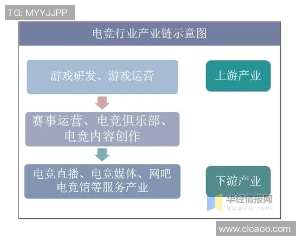 电竞地理学视角下的电竞产业地域差异与发展趋势分析 电竞地理学视角下的电竞产业地域差异与发展趋势分析